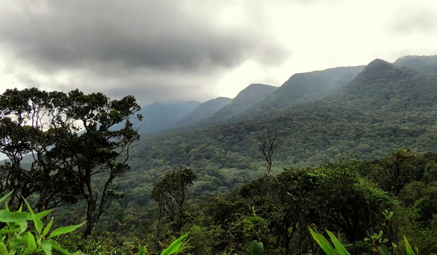 video of Environmentalist That rescuing Sri Lanka Rainforests