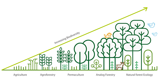 image og increasing biodiversity