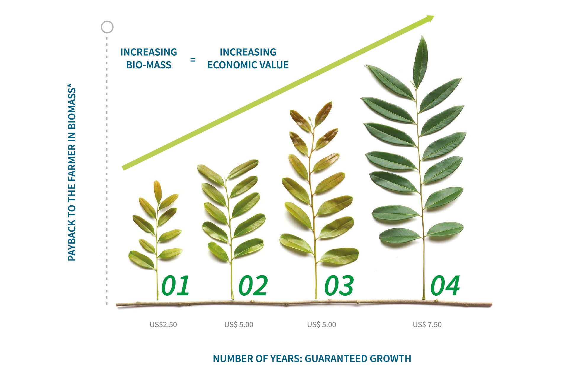 economic growth diagram